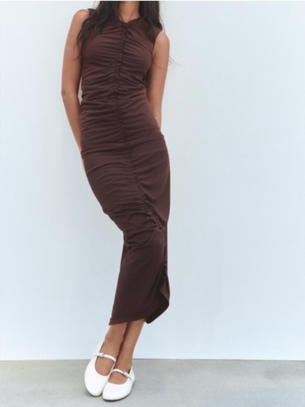 ZARA  Brown Dress Pants Sz S Nwot